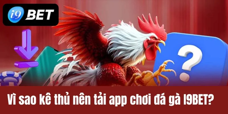 Với app chơi đá gà I9BET