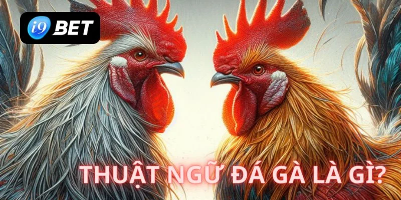 thuật ngữ đá gà